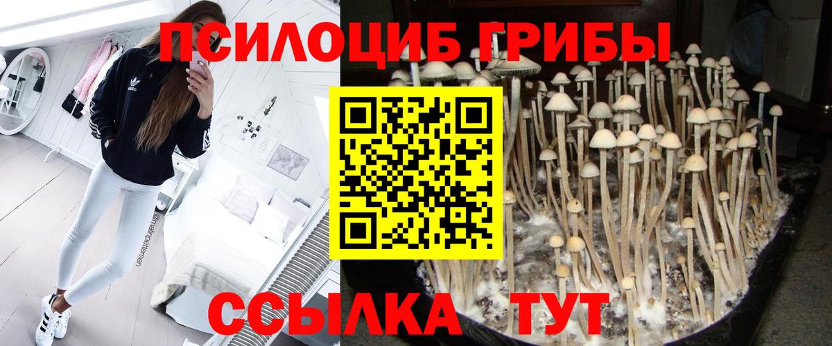 Галлюциногенные грибы GOLDEN TEACHER Ростов Великий