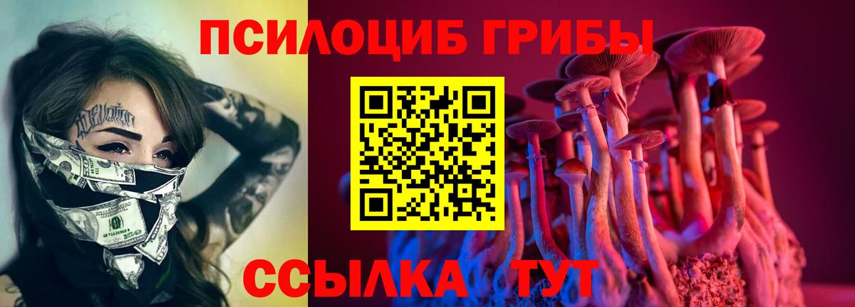 Ростов Великий  Галлюциногенные грибы GOLDEN TEACHER  Галлюциногенные грибы мицелий  Вход с VPN 