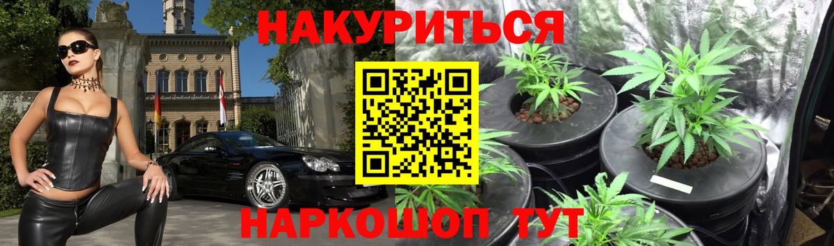 Шишки марихуана сатива Ростов Великий